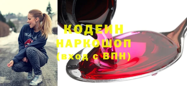 эйфоретик Вяземский