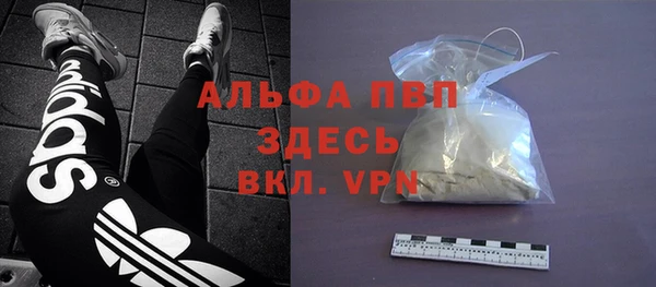 эйфоретик Вяземский