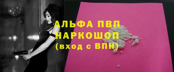 эйфоретик Вяземский