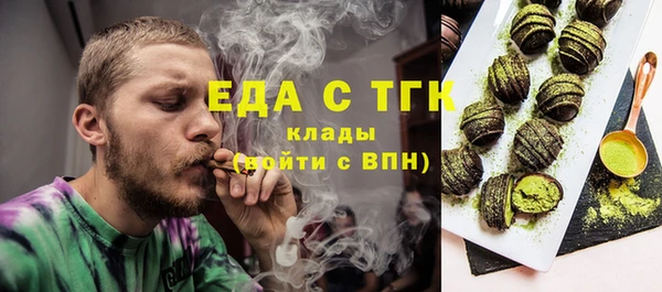 индика Чегем