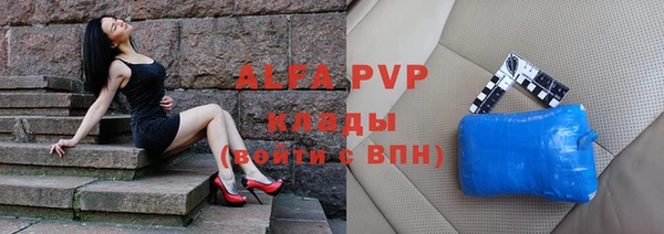 эйфоретик Вяземский