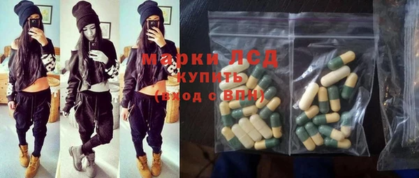 эйфоретик Вяземский