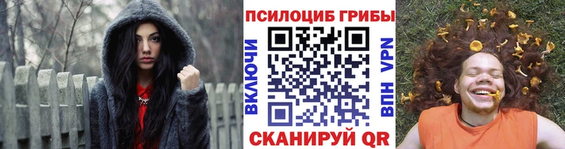 цены   Елец  Галлюциногенные грибы GOLDEN TEACHER 