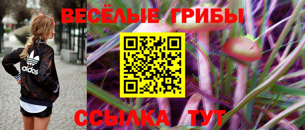 Псилоцибиновые грибы прущие грибы  Галлюциногенные грибы мухоморы  Вход с VPN  Елец 